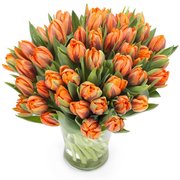 Bukiet Pomarańczowych Tulipanów